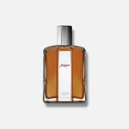 کارون یاتاقان