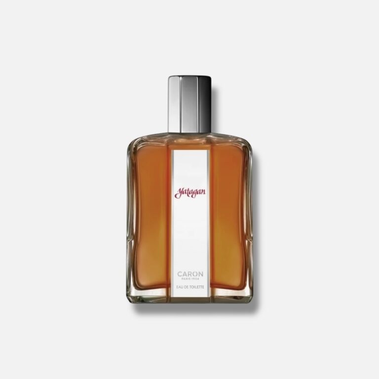کارون یاتاقان