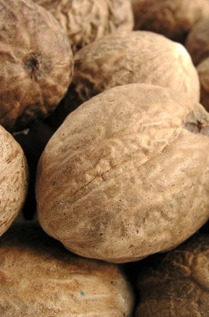 nutmeg-جوز